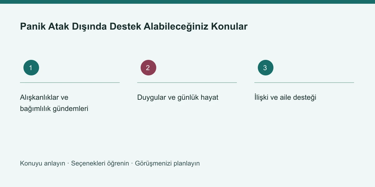 Panik Atak Dışında Destek Alabileceğiniz Konular konusunun ana başlıklarını gösteren özgün bilgi şeması